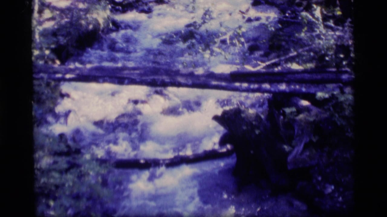 Blue-shifted stream water rushing past rocks and fallen logs in a forest setting.