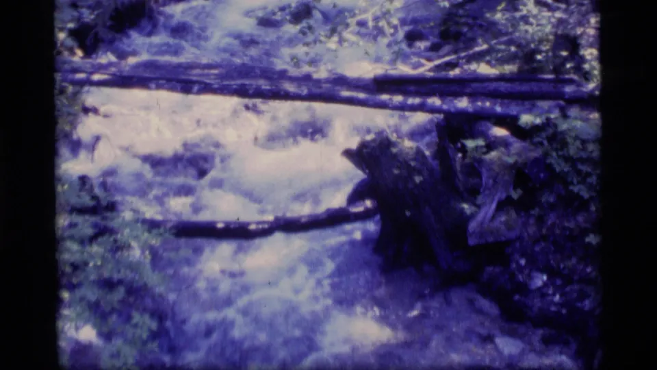 1977 Alaska 8mm frame of running water over rocks beside a dark stump or log, with forest growth around the stream.