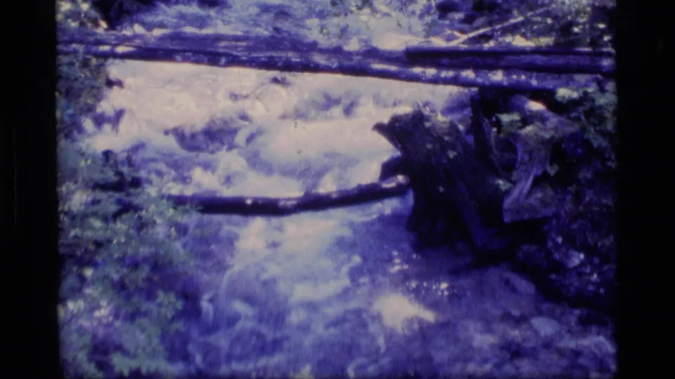 1977 Alaska 8mm frame showing a forest creek with flowing water, crossed logs, rocks, and heavy blue-purple color shift.