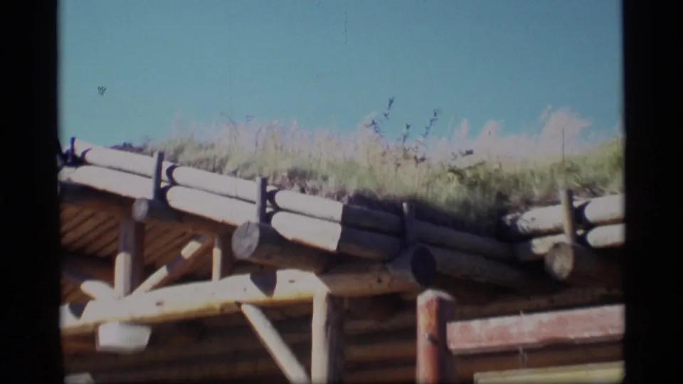 Close 1977 home-movie view of the MacBride Museum roofline, showing rounded logs, grass on the roof, wood supports, and bright sky.