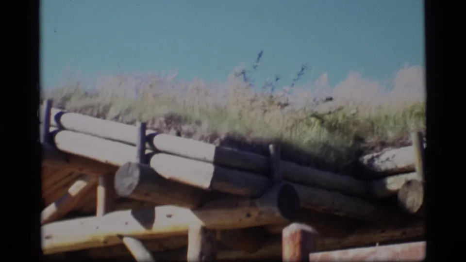 The museum roofline remains in view, with grass growing over rounded logs and exposed wooden supports against a bright blue sky.
