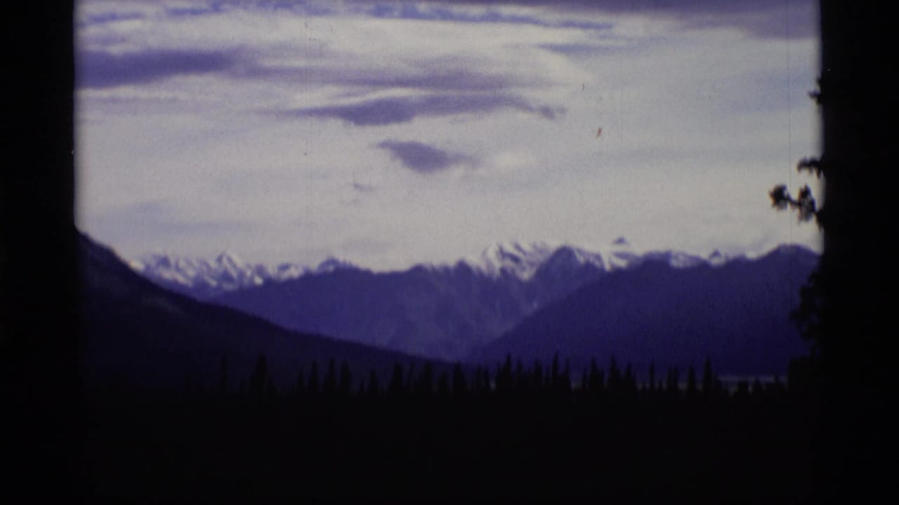Distant snow-capped mountains under clouds with dark evergreen silhouettes in the foreground.