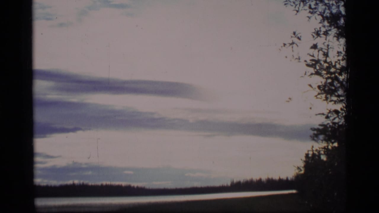 Lake and dark treeline beneath layered clouds, framed by film gate edges and branches.