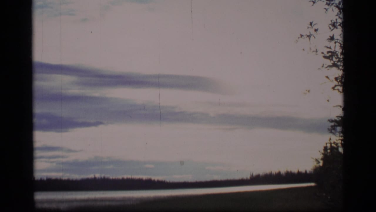 1977 Alaska 8mm frame showing an overcast lake view, low wooded horizon, and trees along the right edge.
