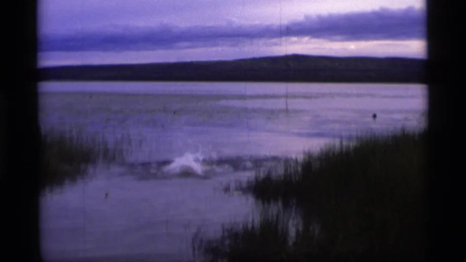 1977 Alaska 8mm frame with a distant swimmer creating splashes near lakeside reeds and a low ridge.