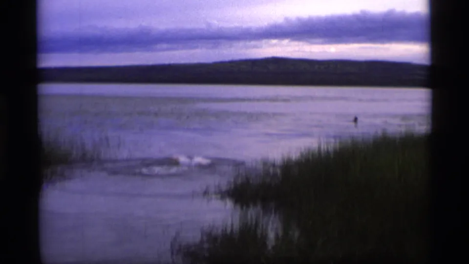 1977 Alaska 8mm frame showing a distant swimmer, spreading ripples, tall grasses, and a low wooded horizon.