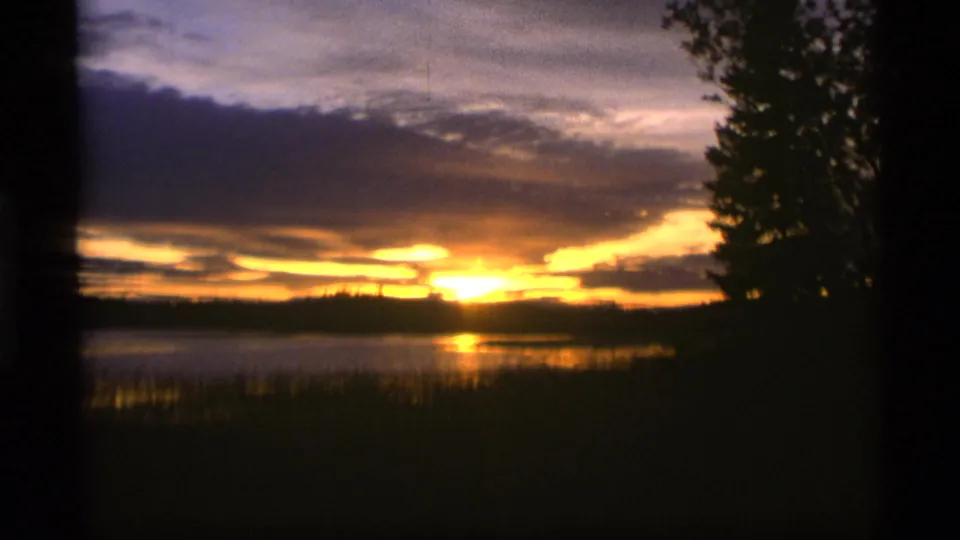 1977 Alaska sunset view showing golden-orange sky, cloud bands, lake reflection, reeds, and a dark tree silhouette at frame edge.