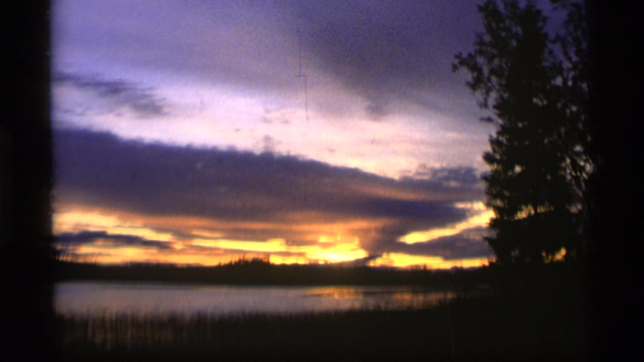 1977 Alaska 8mm frame showing orange sunset light over a lake, with purple clouds, shoreline reeds, and a dark tree silhouette at right.