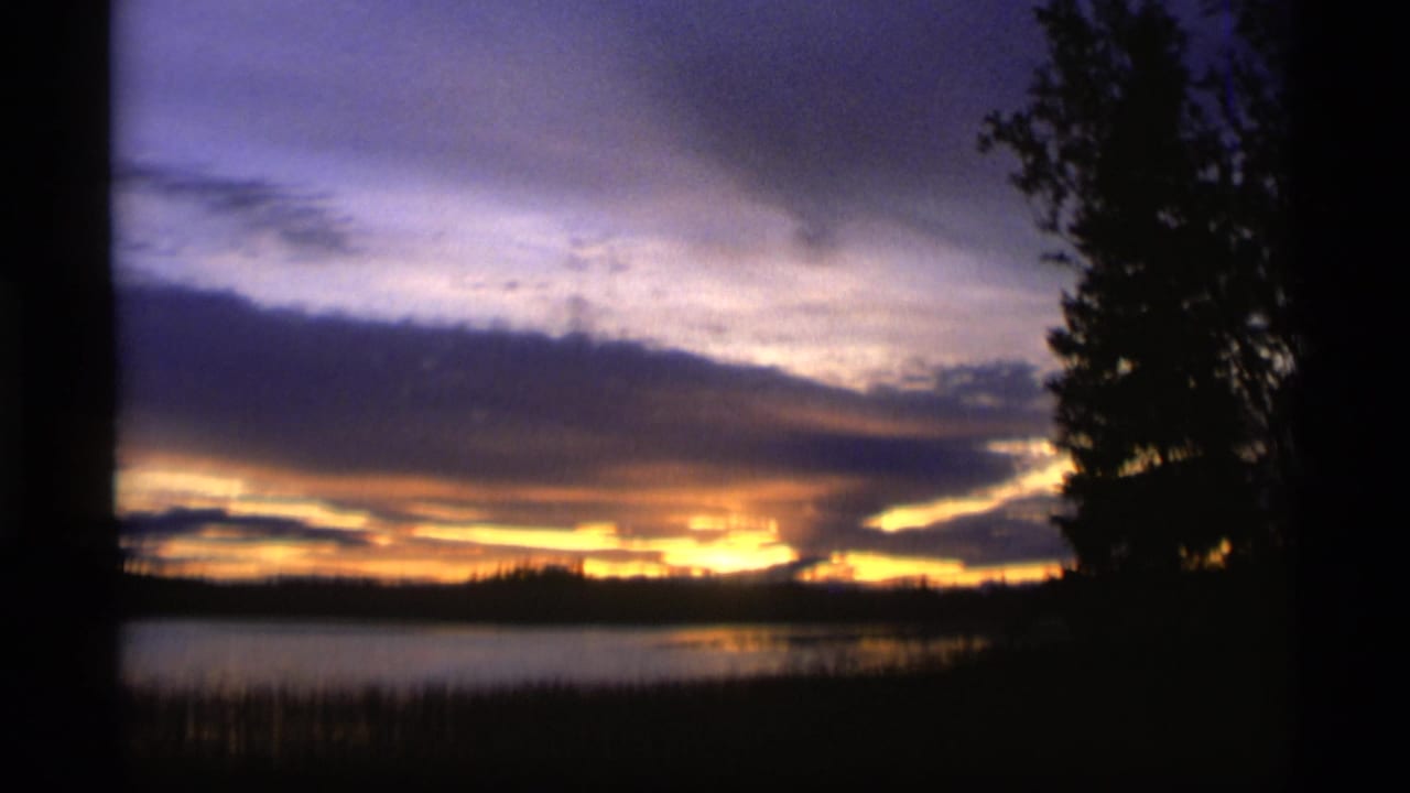 Lake sunset with layered clouds, reflected light, and a dark tree at right.