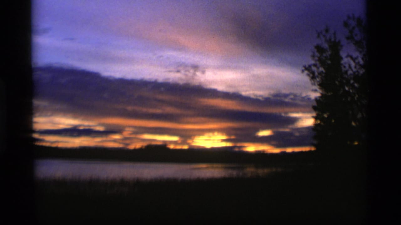Purple and gold sunset over a lake with dark tree silhouettes.