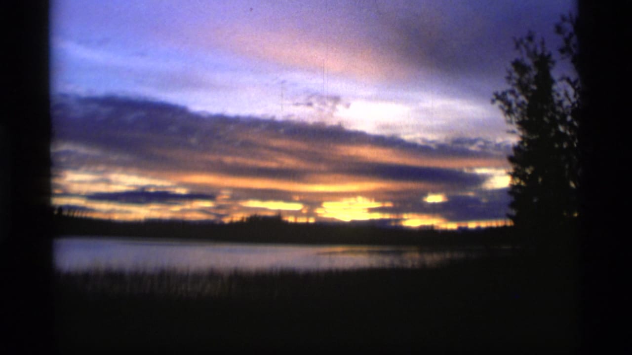 Sunset sky over a calm lake with dark trees and reeds in silhouette.