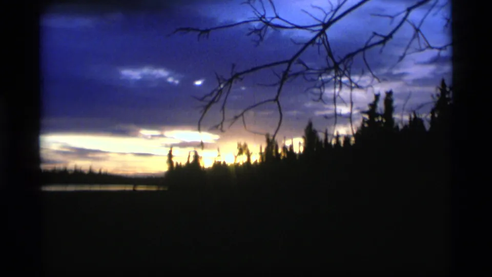 1977 Alaska 8mm frame showing a vivid dusk sky, silhouetted conifers, bare limbs, and a narrow lake horizon.