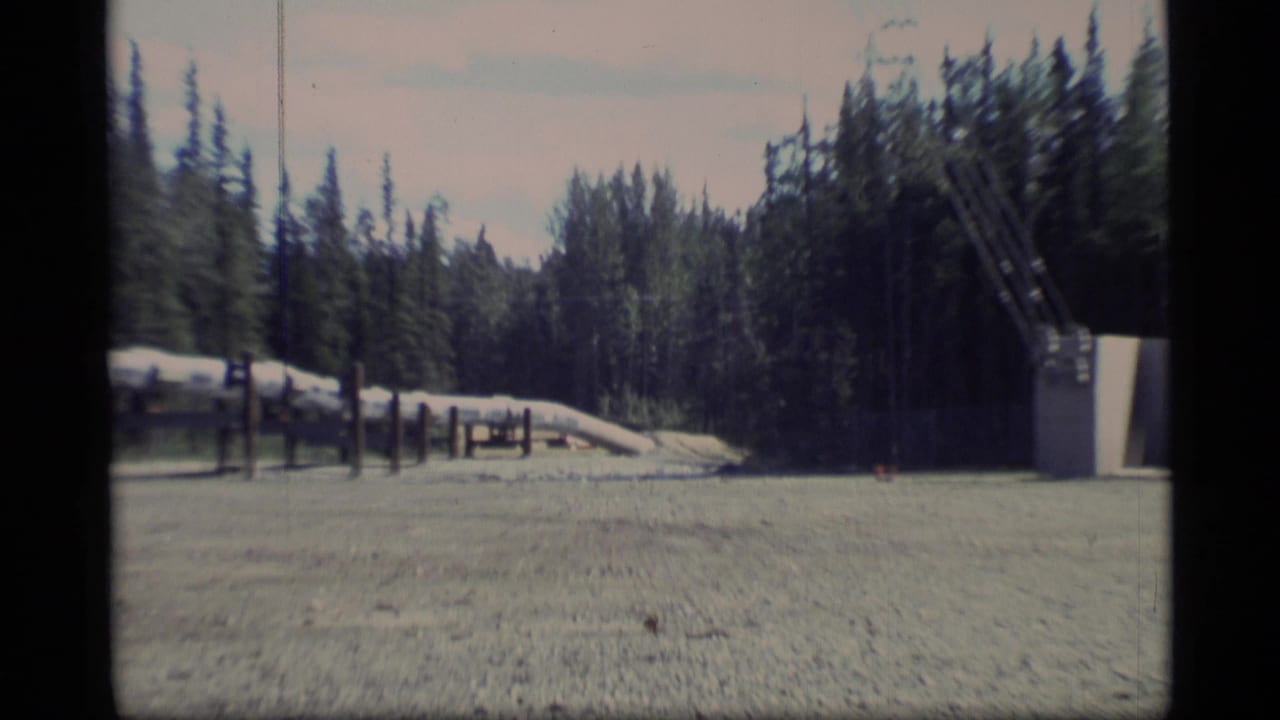 Gravel clearing with a supported pipeline beside dense evergreen forest.