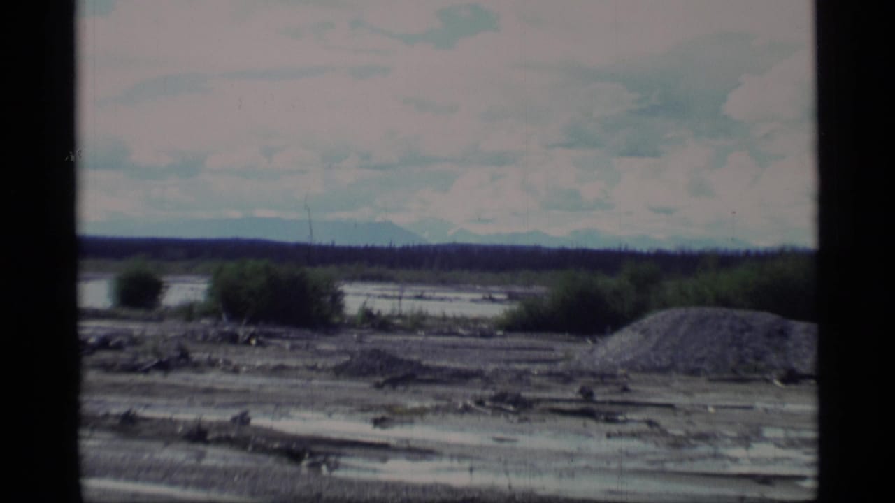 Muddy floodplain with shrubs, evergreen forest, and distant pale mountains under cloudy sky.