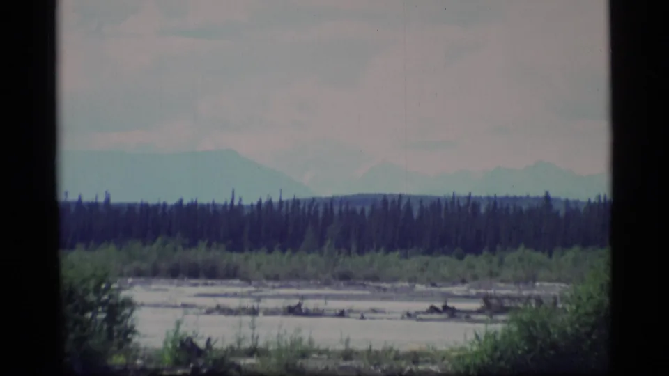 1977 Alaska 8mm view across a wet riverbed toward evergreen trees and faint snow-covered mountain slopes.