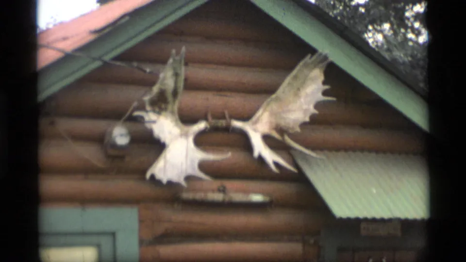 1977 Alaska home-movie frame with a closer view of mounted moose antlers on the front of a log cabin.