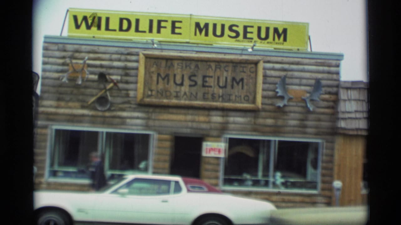Rustic Wildlife Museum storefront with parked white car and museum signs.