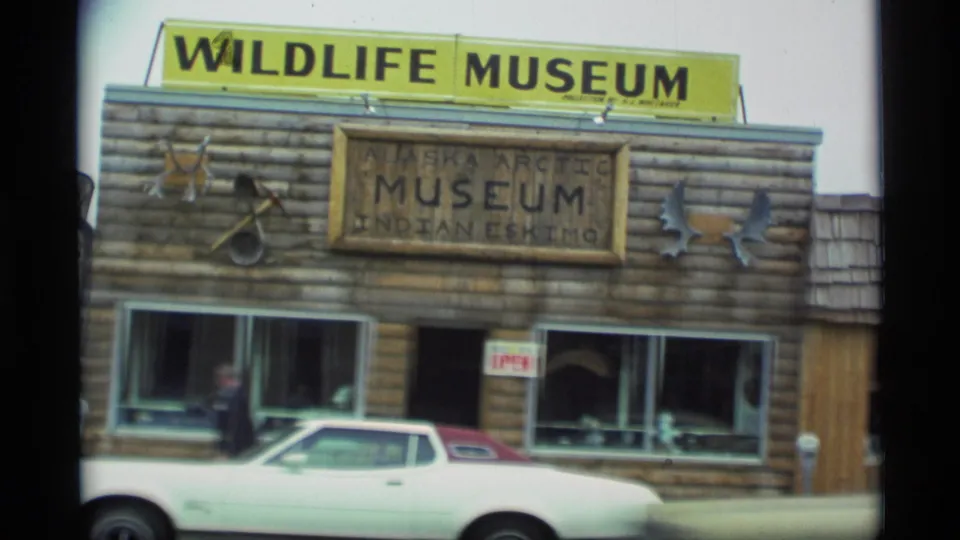 1977 Alaska street view showing a log-style Wildlife Museum storefront, Alaska Arctic Museum signage, display windows, and a parked white car.
