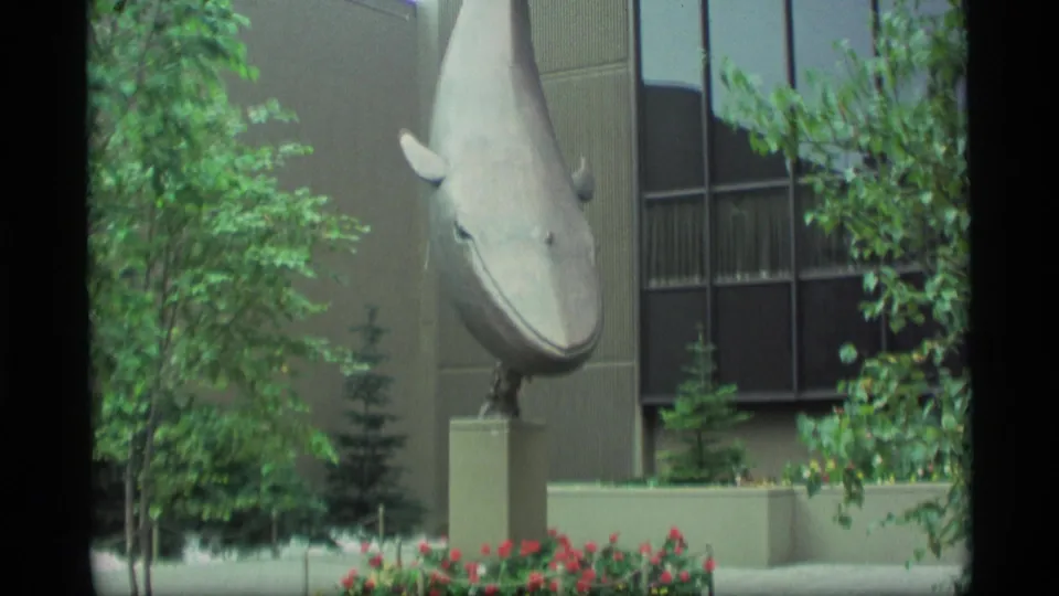 1977 Anchorage footage of a large whale statue on a pedestal, framed by green trees, red flowers, and a modern building exterior.
