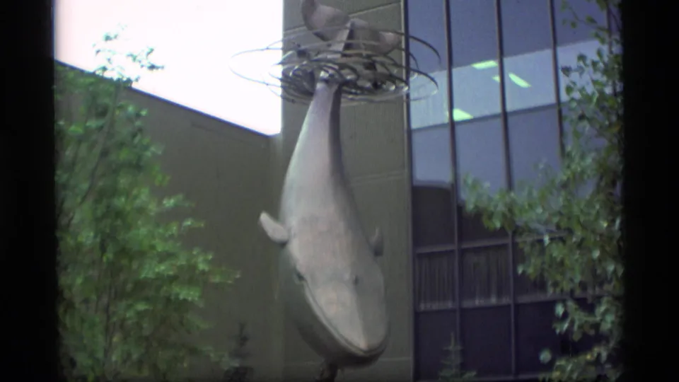 Handheld 8mm view of the whale sculpture outside a modern building, with trees softening the commercial facade.