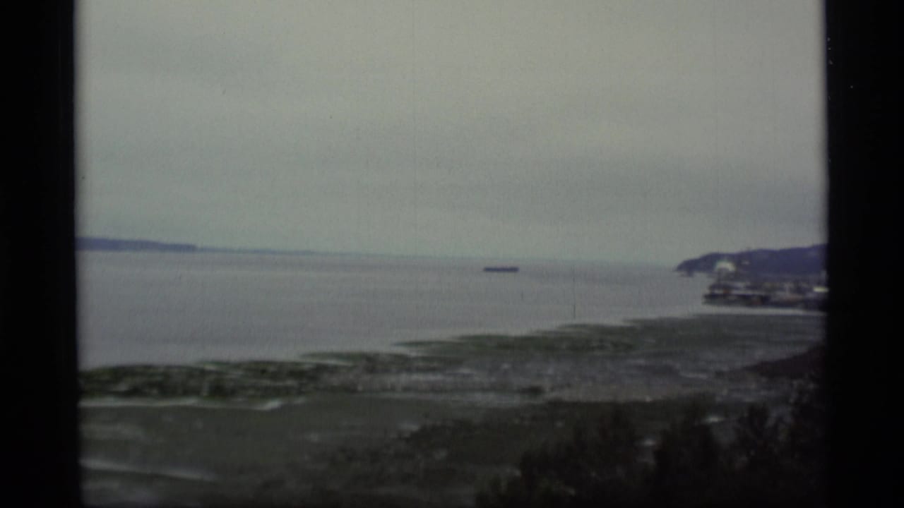 Overcast bay with distant ship, shoreline, low hills, and dark film frame edges.