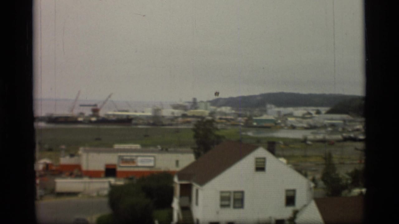 Elevated view of white houses, fields, harbor cranes, ships, and distant hills.