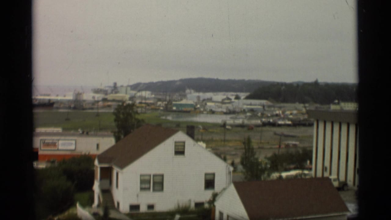 Elevated 1977 Alaska town view with a white house, nearby buildings, open waterfront land, and forested hills behind the harbor.