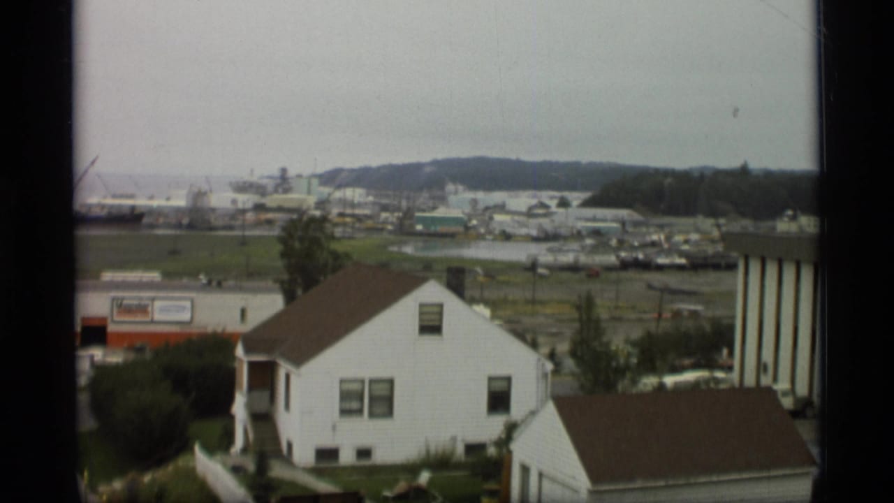 White houses overlook a harbor area with docks, cranes, and distant shoreline under an overcast sky.