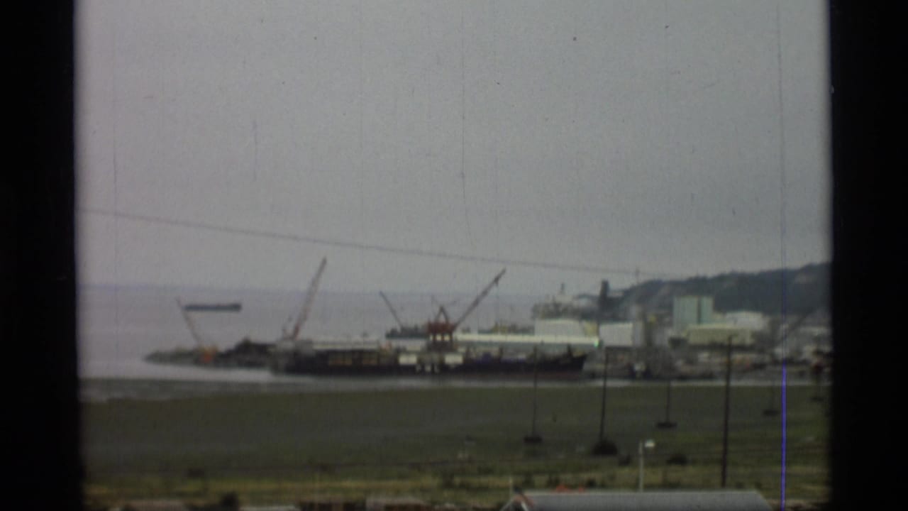 Harbor cranes and docked vessels sit near a broad shoreline and calm water beneath a gray sky.
