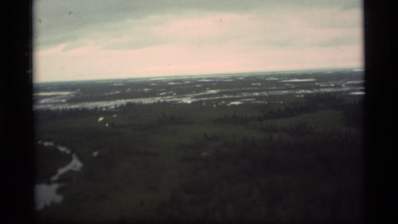 Aerial view of dark forest, winding water, distant lakes, and overcast sky.