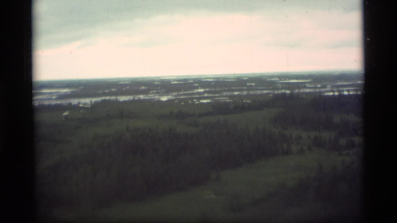 1977 Alaska home-movie aerial frame looking across wooded terrain, scattered water, and a cloudy distant horizon.