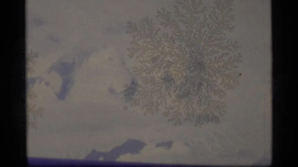 A large crystalline frost pattern fills the window as snowy Alaska mountains remain visible in the background.