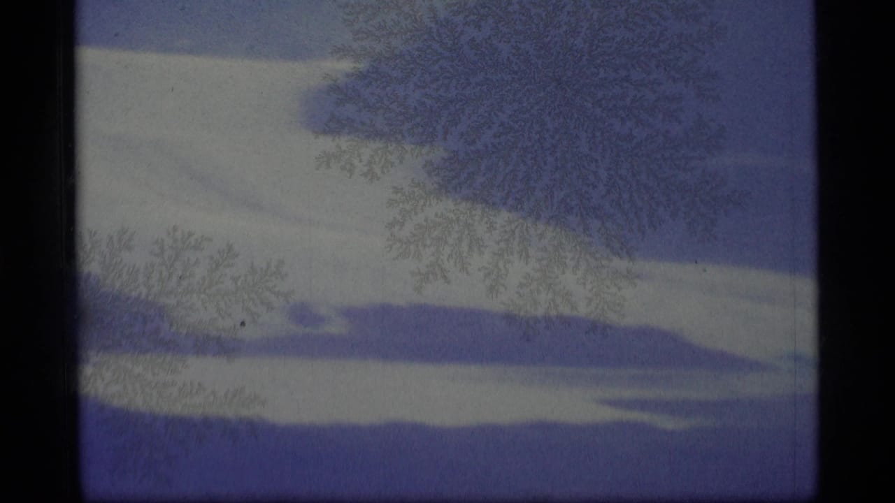 1977 Alaska 8mm frame showing a pale mountain and lake landscape partly obscured by crystalline frost-like patterns.