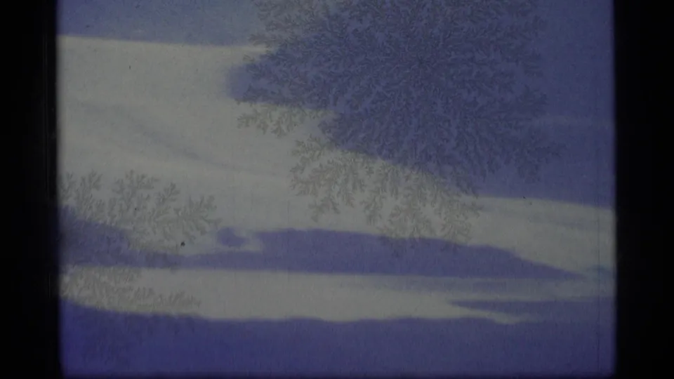 1977 Alaska 8mm frame showing a pale mountain and lake landscape partly obscured by crystalline frost-like patterns.