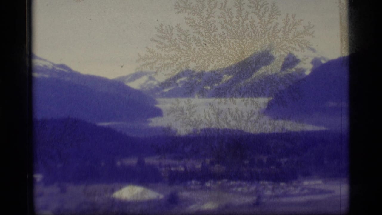 1977 Alaska 8mm frame showing a broad lake bordered by mountains, snow patches, and dark evergreen forest under a blue color cast.