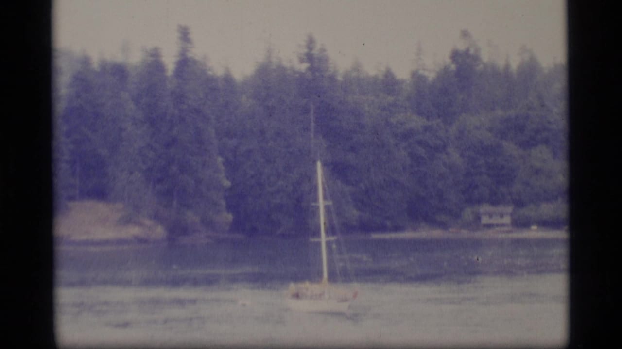 White sailboat on calm water near a forested shoreline with a small cabin in the distance.