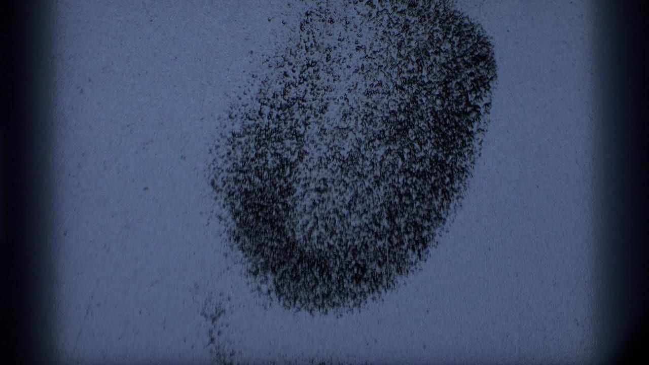 A close view of 8mm film texture shows a dark circular cluster of dust or grain marks against a pale blue-gray frame.