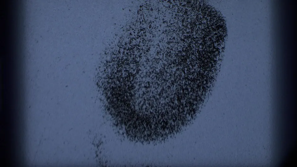 A close view of 8mm film texture shows a dark circular cluster of dust or grain marks against a pale blue-gray frame.