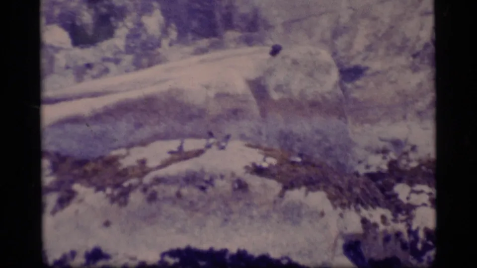 1977 Alaska 8mm frame showing a pale snow-covered hillside or ice field with rough vegetation and a strong purple color shift.