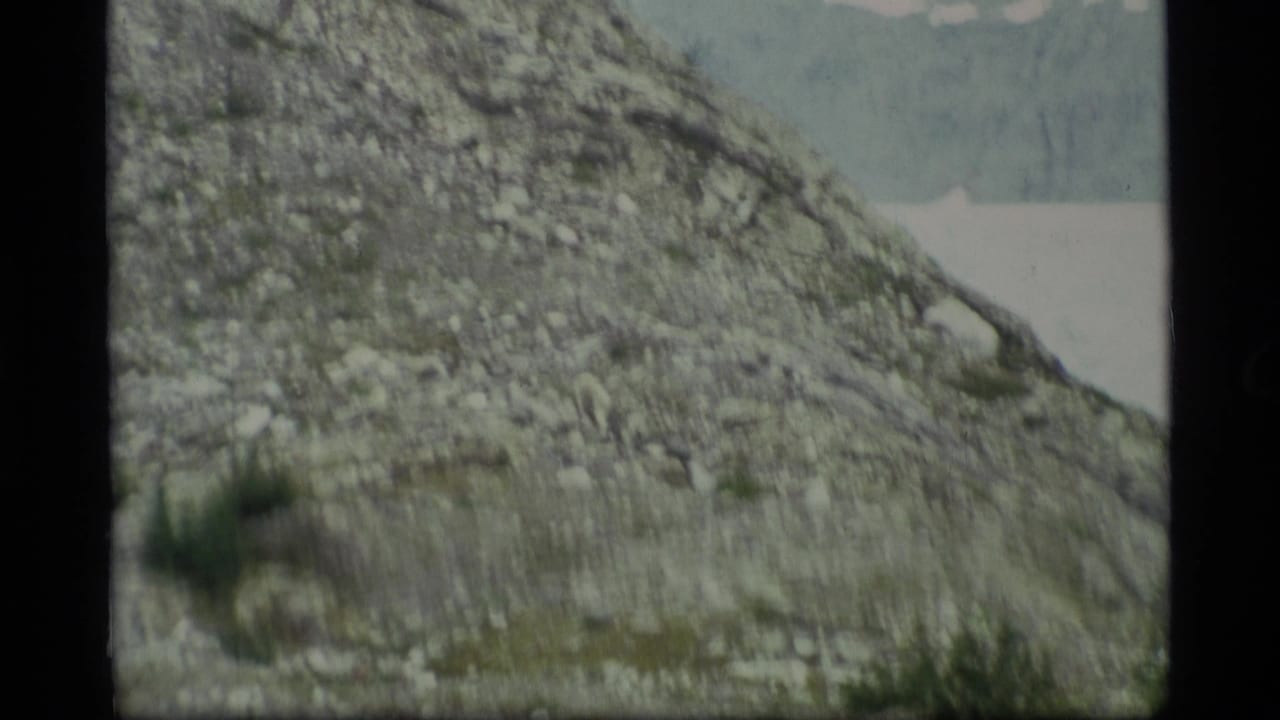 1977 8mm Alaska home-movie frame showing a steep rocky slope with scattered green plants and distant pale water.