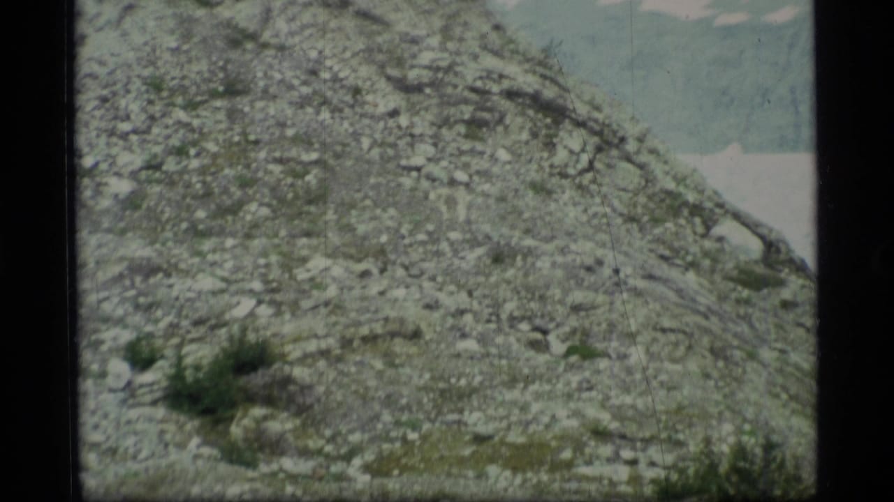 Close view of a rocky hillside with small plants and distant water.