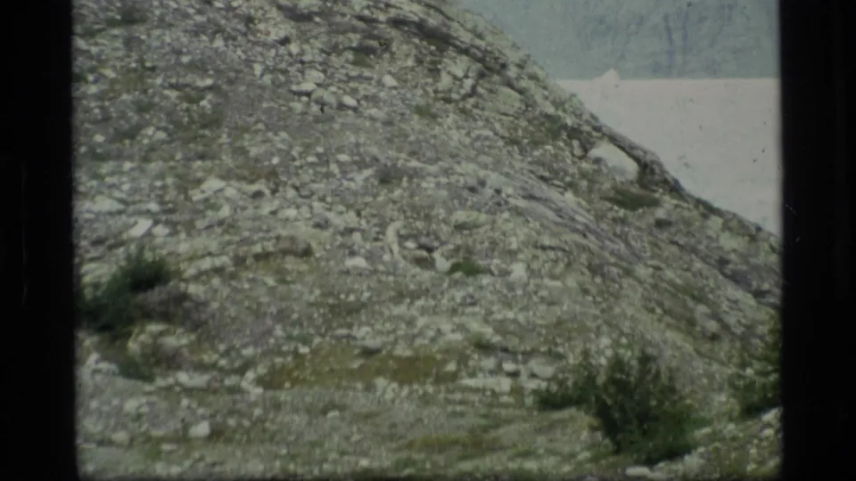 1977 Alaska 8mm frame showing a close view of rocky ground on a hillside with scattered low vegetation and soft faded color.