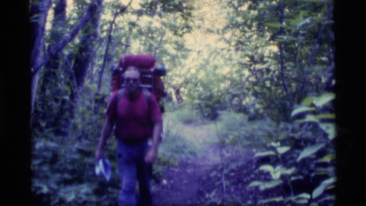 Red-shirted hiker with a large backpack nears the camera on a forest path.