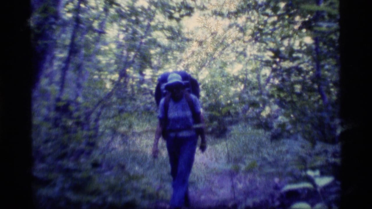 A backpacked hiker walks away through dense Alaska woodland in 1977 home-movie footage with a blue-purple film cast.