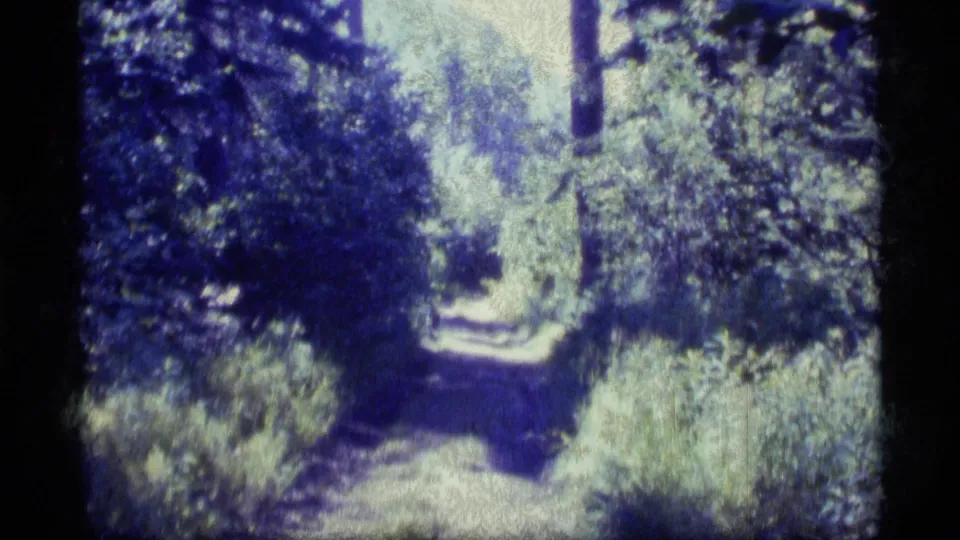1977 Alaska home-movie view looking along a shaded trail with bright light ahead and dense forest on both sides.