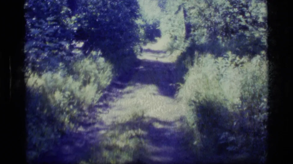 1977 Alaska 8mm frame showing a dirt forest path curving through shrubs and trees under dappled sunlight.