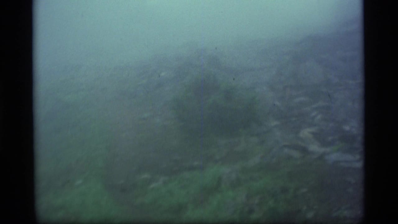 1977 Alaska 8mm frame showing a misty green mountain slope in soft focus with dark film-edge borders.