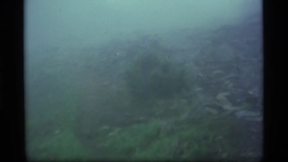 1977 Alaska 8mm frame showing a misty green mountain slope in soft focus with dark film-edge borders.