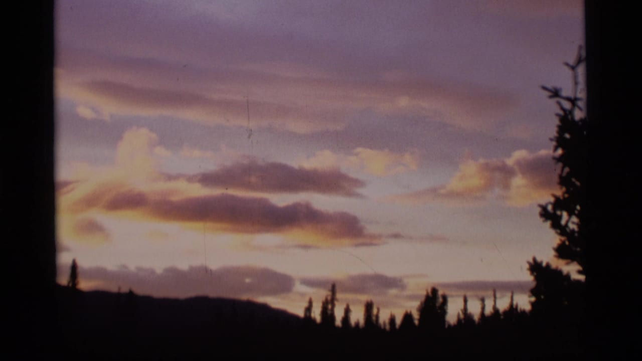 1977 Alaska 8mm frame showing purple and gold sunset clouds above silhouetted conifers and low hills.