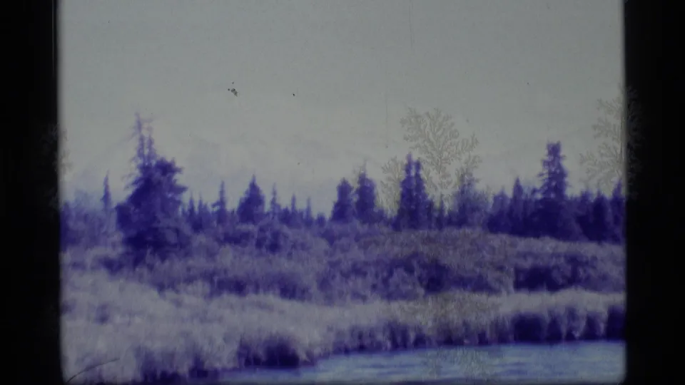 1977 Alaska 8mm frame of swampland water, low brush, and evergreen forest with visible frost-like emulsion patterns.